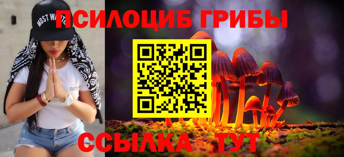 Магадан  Галлюциногенные грибы прущие грибы  Вход с VPN 