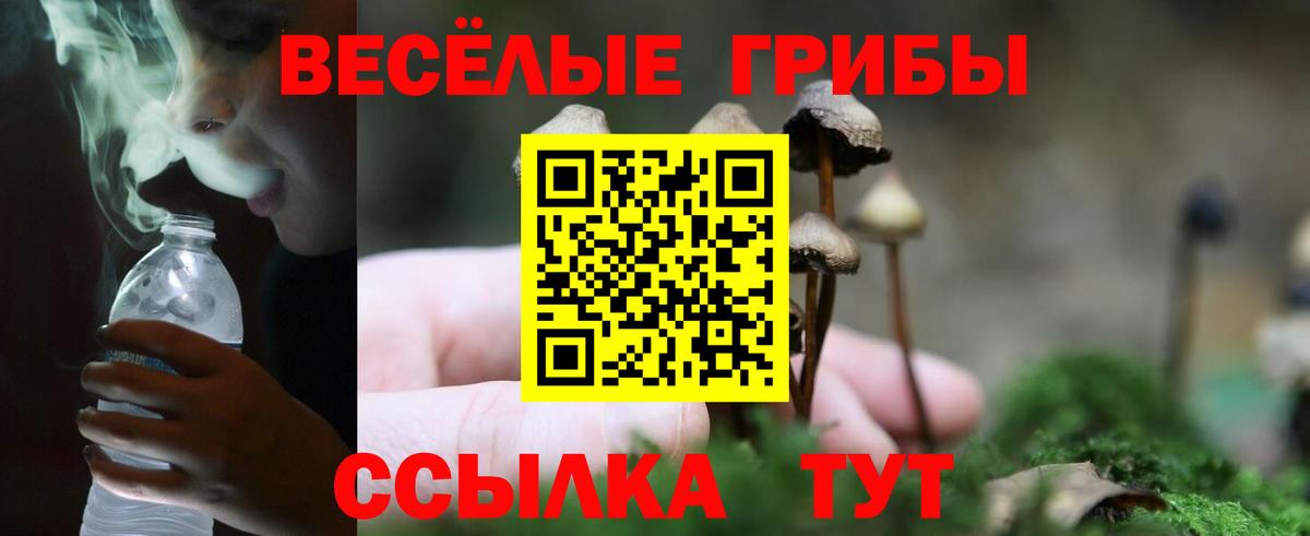 Галлюциногенные грибы Magic Shrooms Магадан